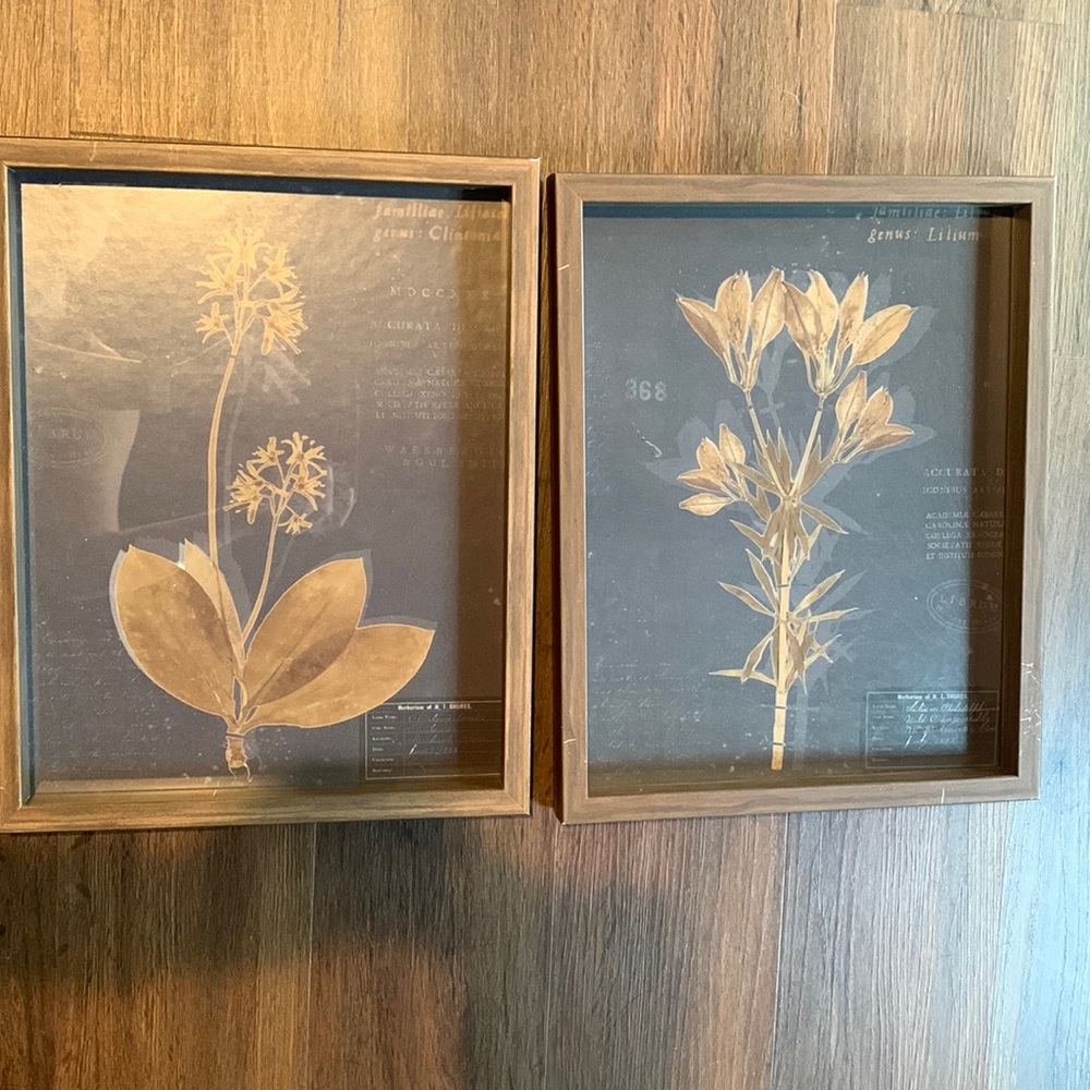 Framed Pair of Blue Pictures